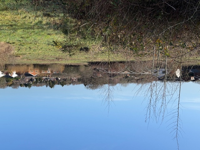 View from site looking towards Alveston Grove