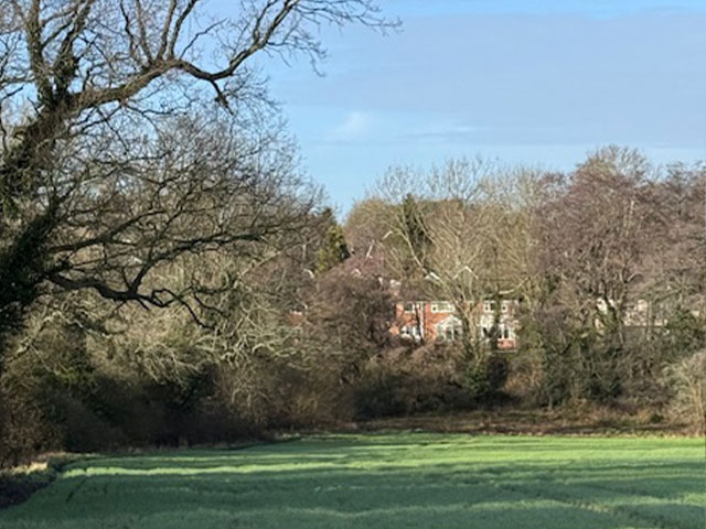 View from site looking towards Wychwood Avenue