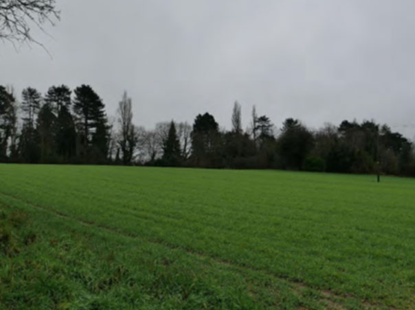 View from the application site further to the NW of Grimshaw Hall looking towards it. The coniferous tree in the centre left stands in front of Grimshaw Hall, which is not visible from here
