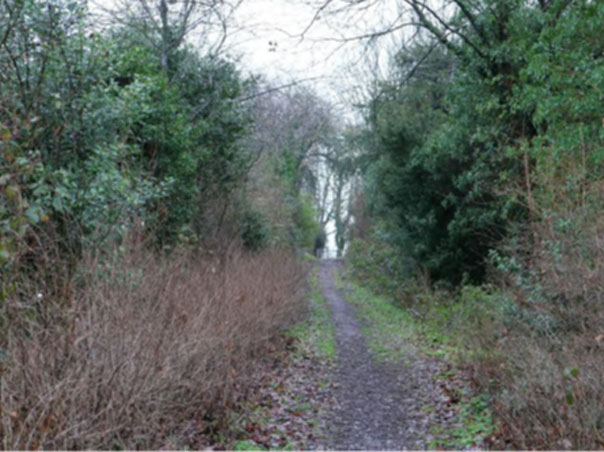View from the track on the application site, roughly opposite Grimshaw Hall, looking towards it. Grimshaw Hall is not visible from here