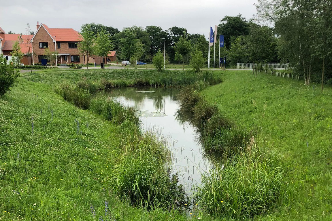 Drainage image